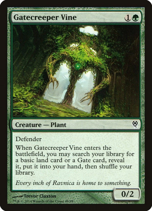 Gatecreeper Vine [DDM - 48]