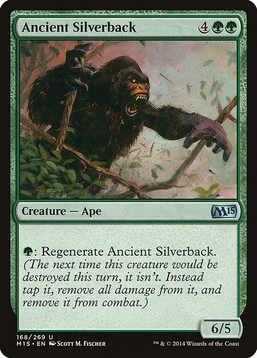 Ancient Silverback [M15 - 168]