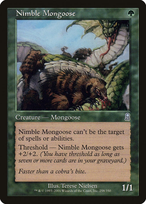 Nimble Mongoose [ODY - 258]