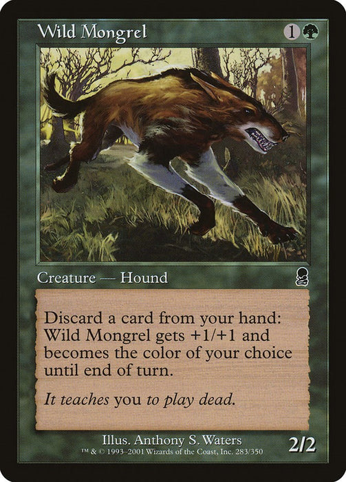 Wild Mongrel [ODY - 283]