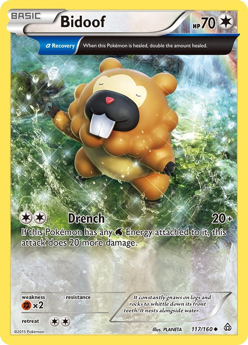 Bidoof (Alpha) [PRC - 117]