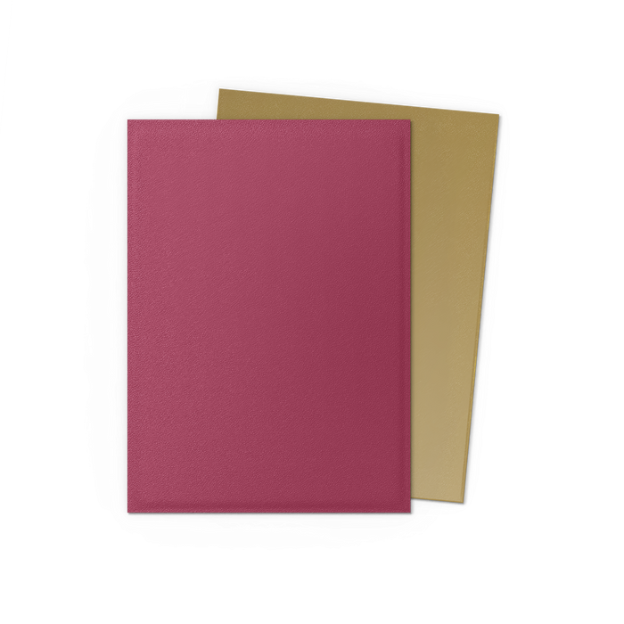 Dragon Shield: Standard 100ct Special Edition - Red Gold