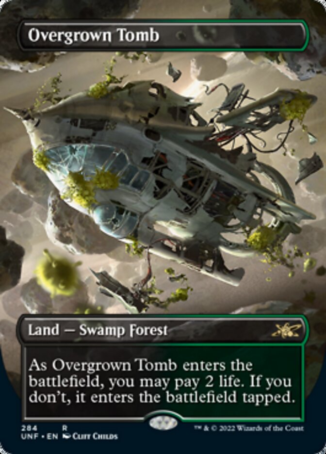 Overgrown Tomb (Borderless) [Unfinity] | Yard's Games Ltd