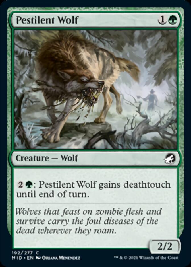 Pestilent Wolf [Innistrad: Midnight Hunt] | Yard's Games Ltd