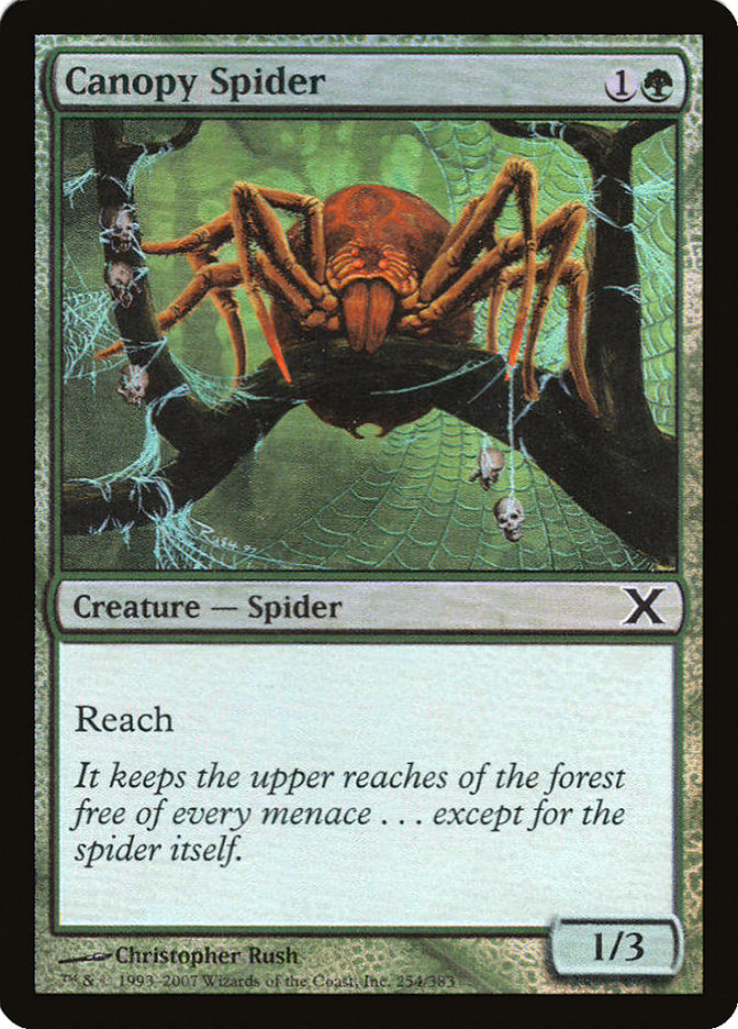 Canopy Spider (Premium Foil) [Tenth Edition] | Yard's Games Ltd
