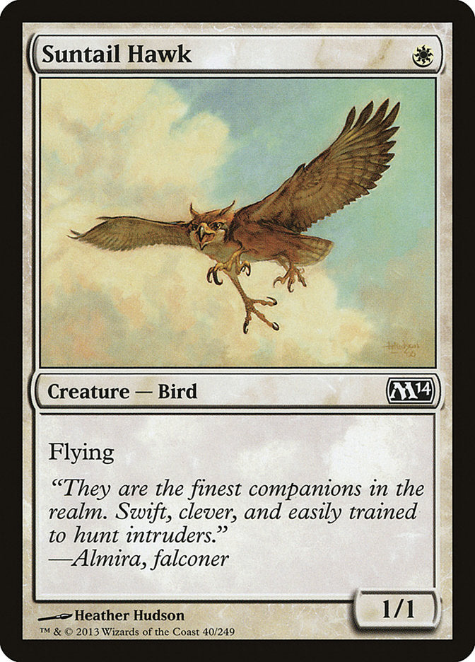 Suntail Hawk [Magic 2014] | Yard's Games Ltd