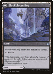 Blackbloom Rogue // Blackbloom Bog [Zendikar Rising] | Yard's Games Ltd