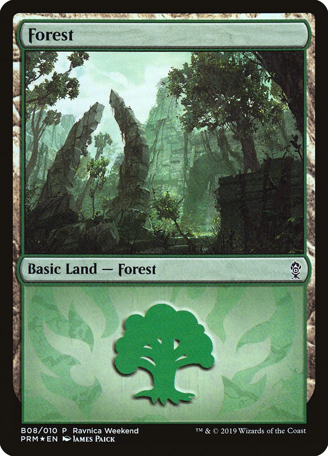 Forest (B08) [Ravnica Allegiance Guild Kit] | Yard's Games Ltd