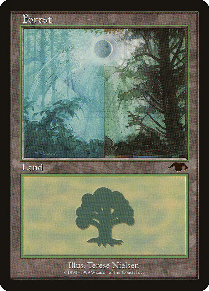 Forest [Guru] | Yard's Games Ltd