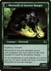 Sage of Ancient Lore // Werewolf of Ancient Hunger [Shadows over Innistrad Prerelease Promos] | Yard's Games Ltd