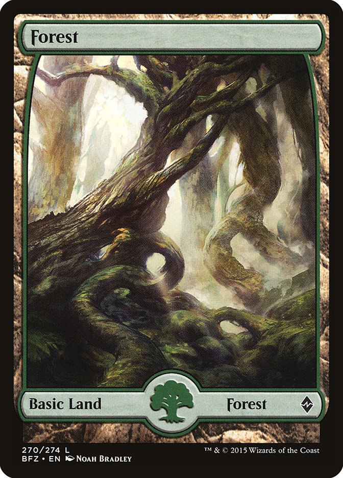 Forest (270) (Full Art) [Battle for Zendikar] | Yard's Games Ltd