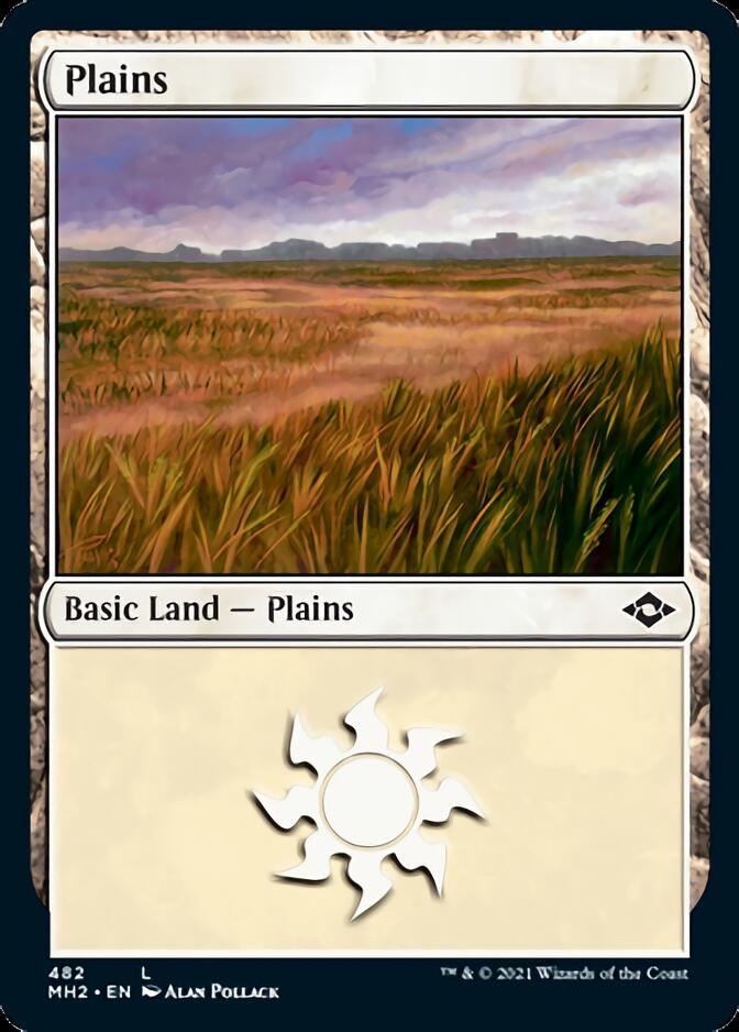 Plains (482) (Foil Etched) [Modern Horizons 2] | Yard's Games Ltd
